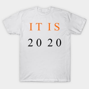 it is 2020 T-Shirt